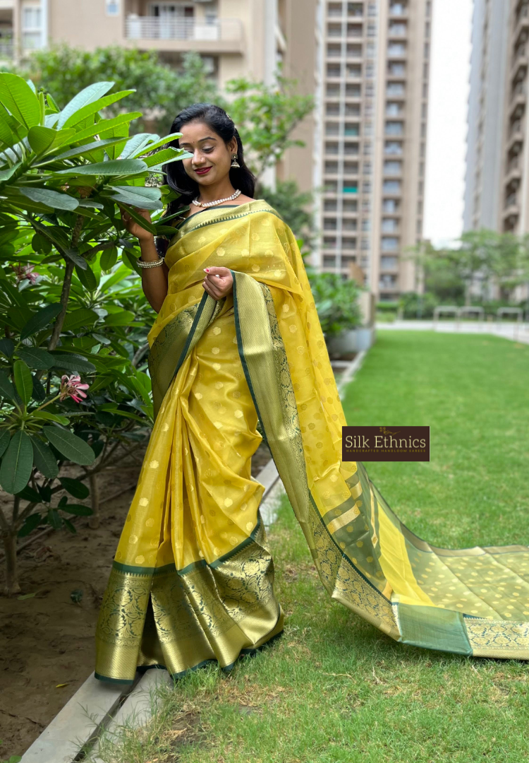 TEEJ COLLECTION