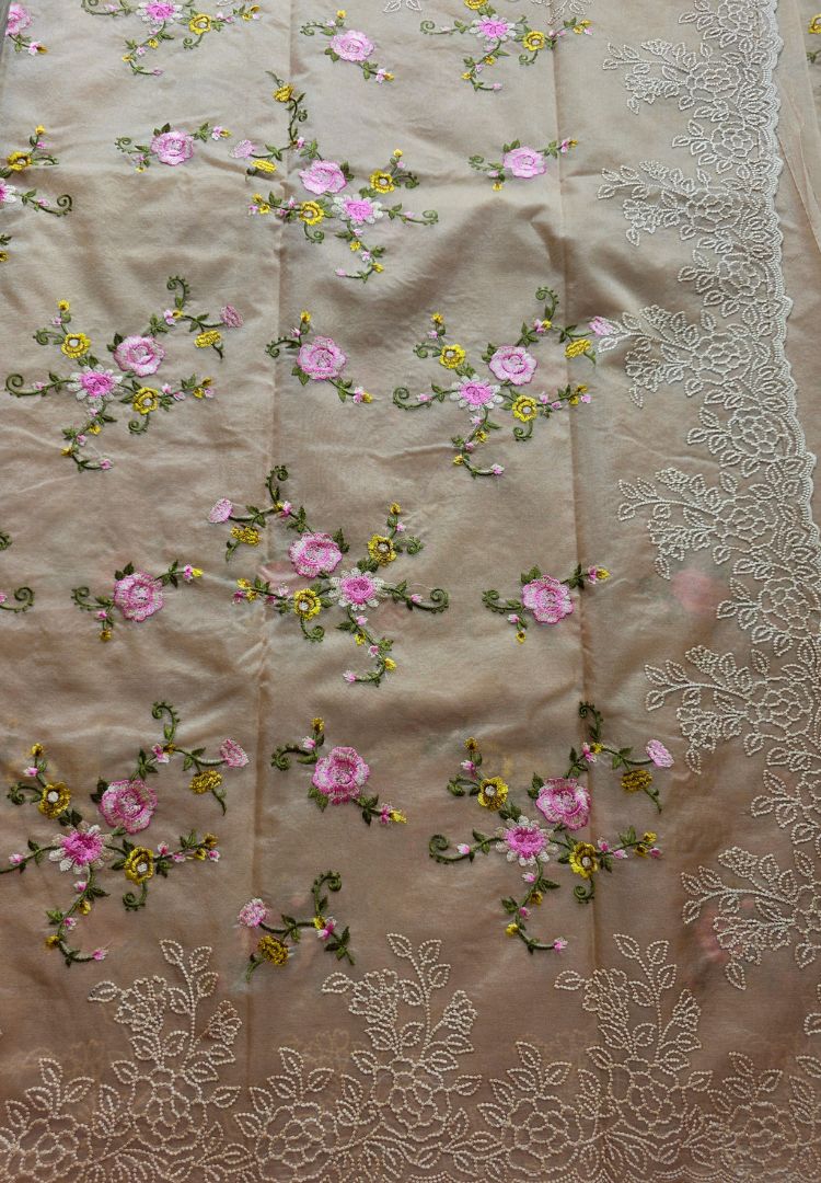 Champagne Gold Banarasi organza embroidered saree, photo 4 of 5