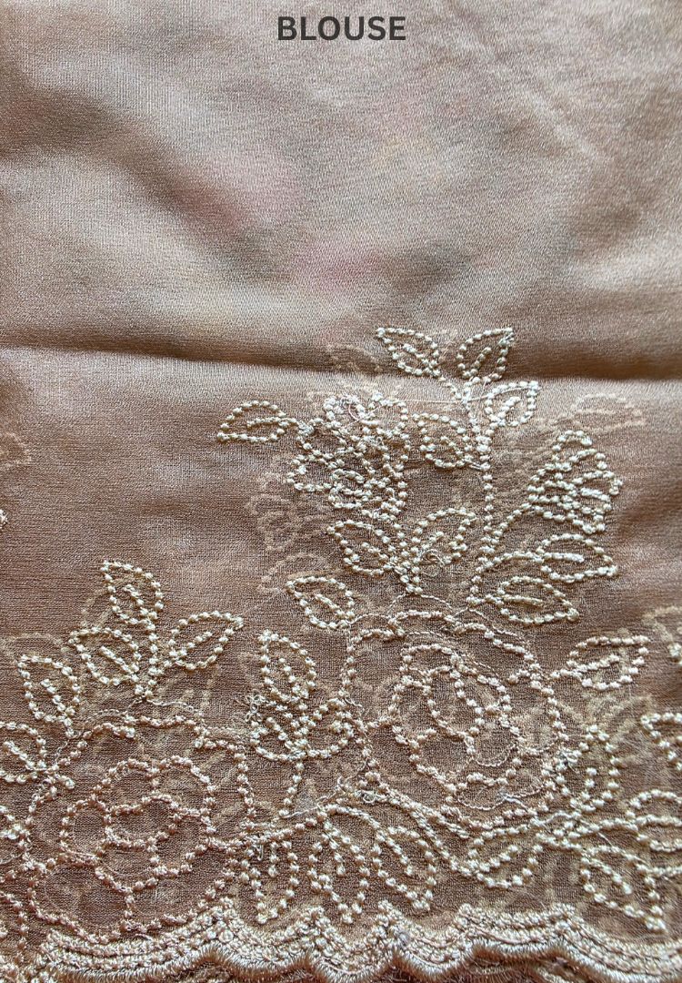 Champagne Gold Banarasi organza embroidered saree, photo 5 of 5