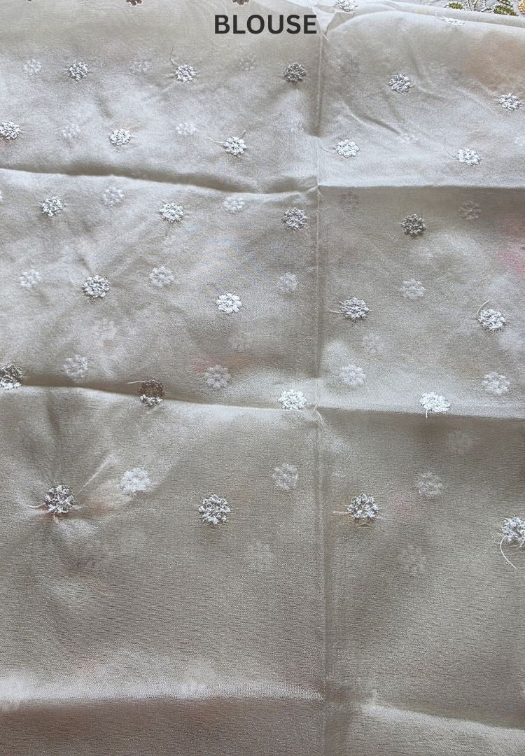 Pearl White Banarasi Organza embroidered saree