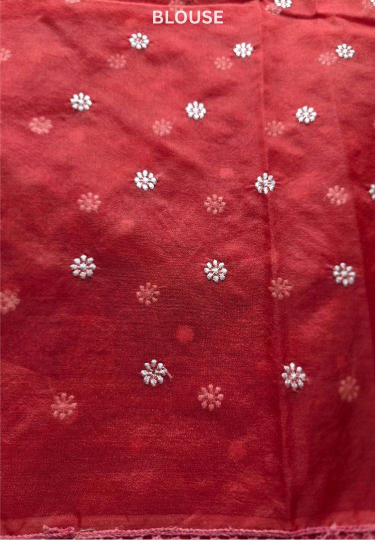 Brick Red Banarasi organza embroidered saree