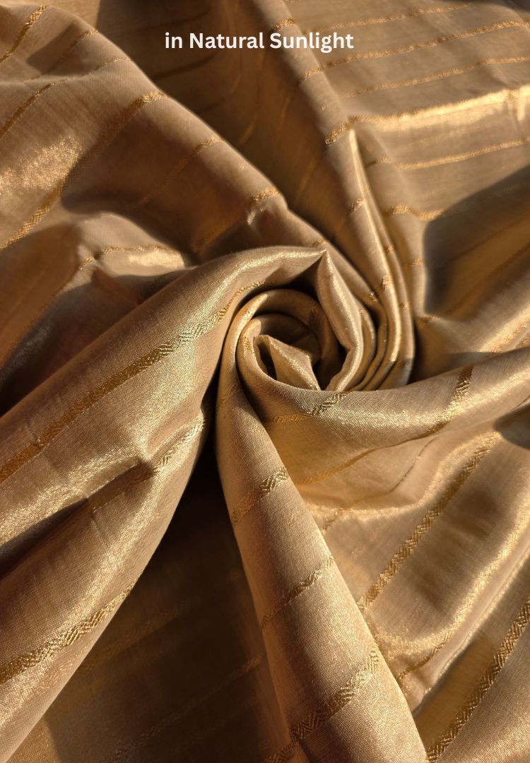 Rich gold zari bands on the pallu of an ivory gold tissue saree