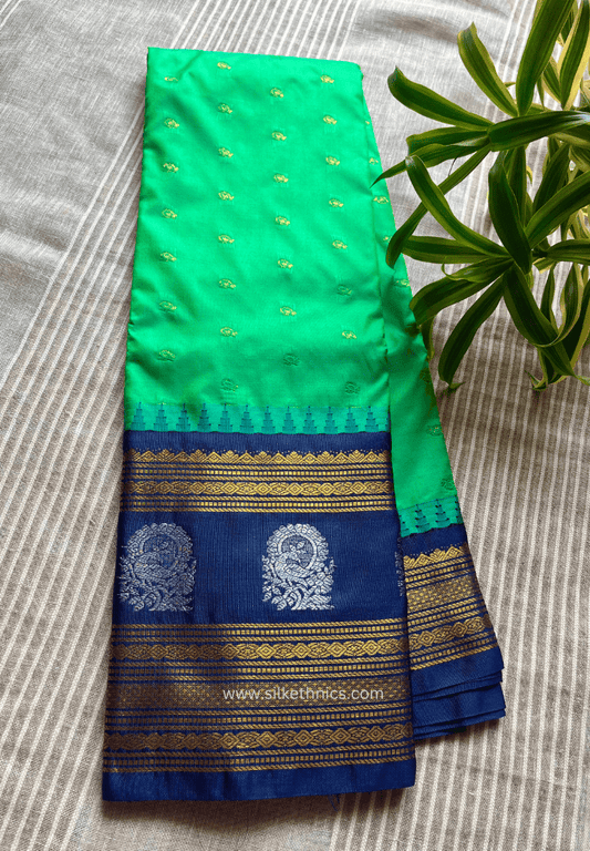 Gadwal Grace Spring Royale silk saree