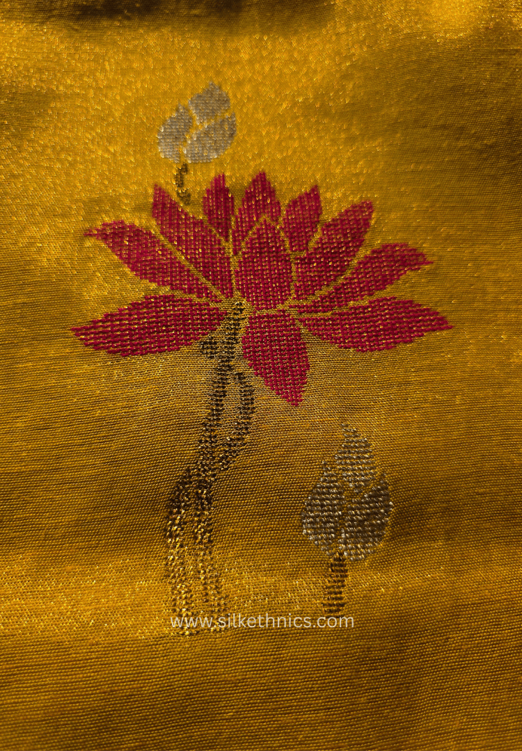 Yellow Gold Lotus Tissue Linen handloom Saree