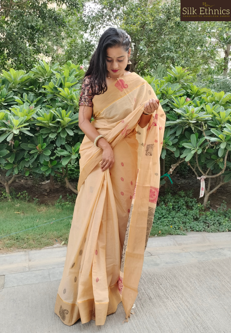 Ivory shaded pure handloom cotton saree