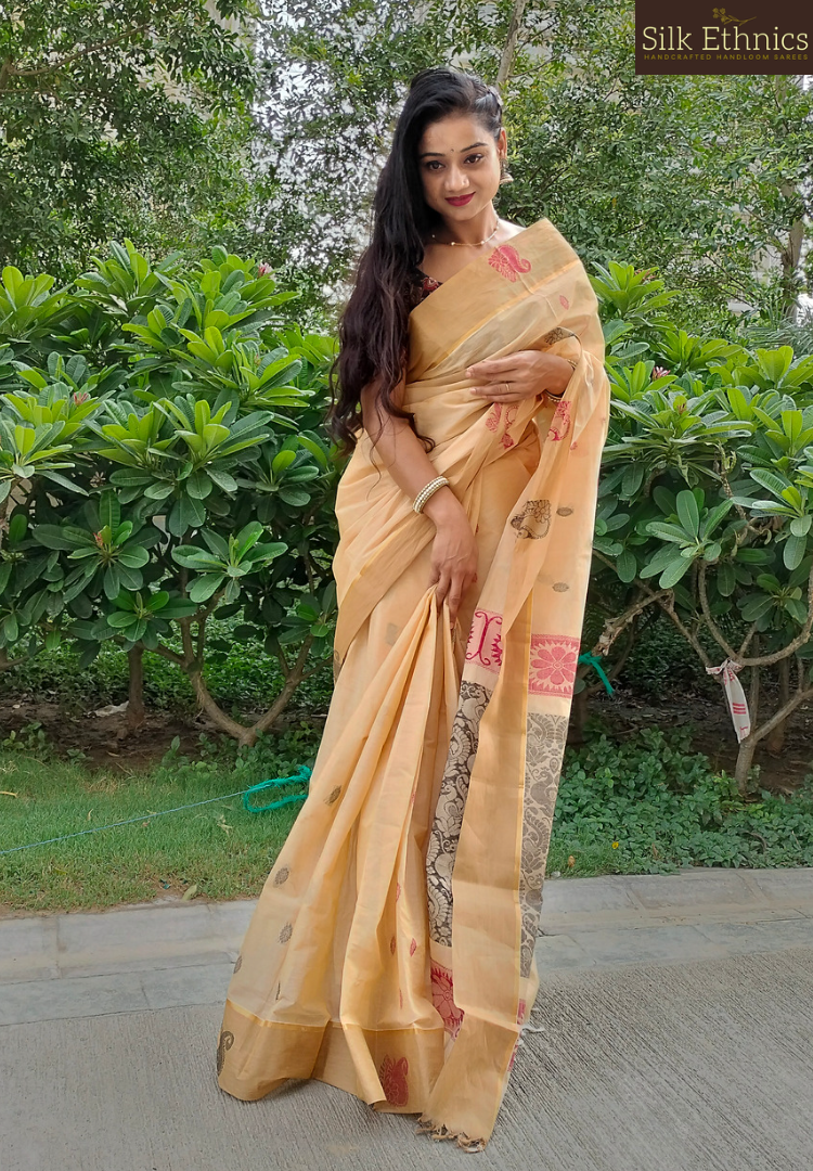 Ivory shaded pure handloom cotton saree