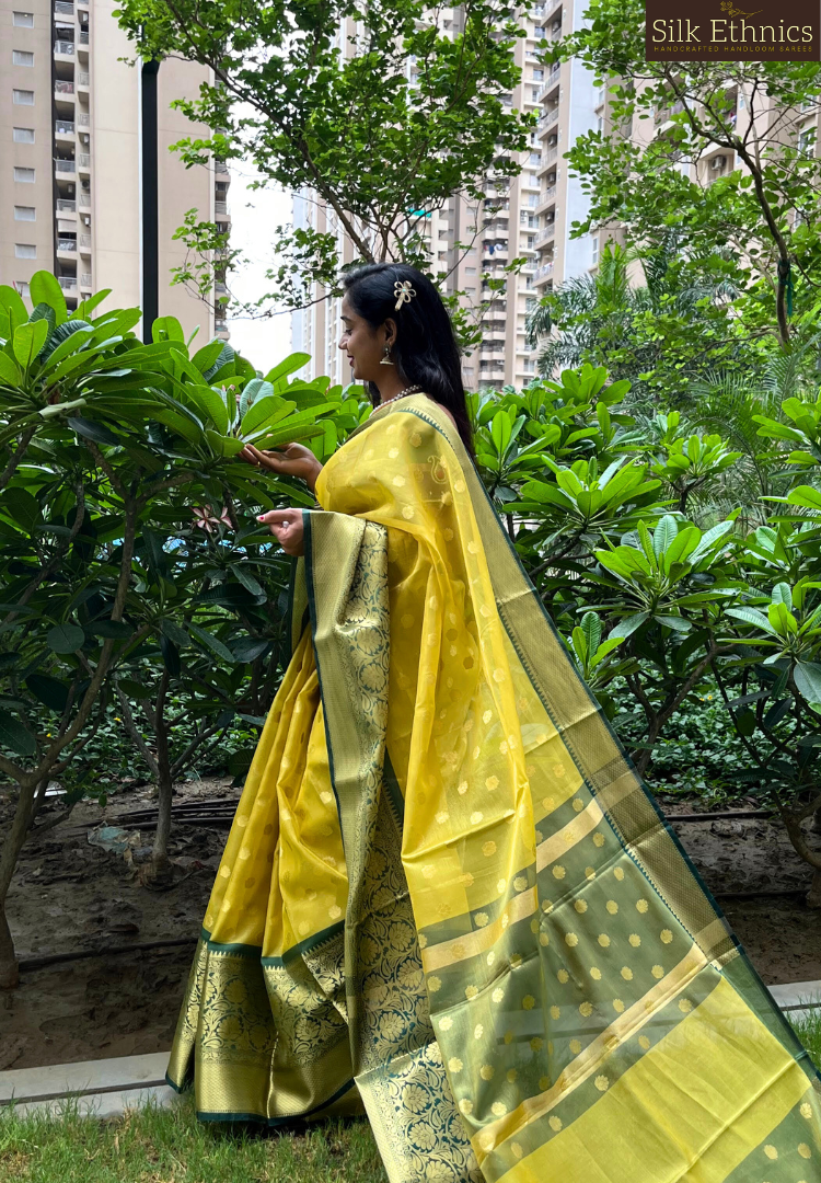 Banarasi Soft Tissue Saree With Zari & Resham Weaving-Sky Blue –  Banarasikargha
